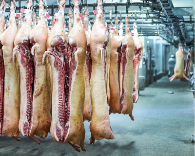 Как сложился 2015 год для производителей говядины, свинины и мяса птицы