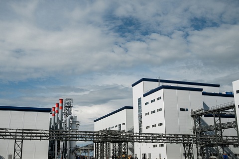 В Самарской области открылся завод по переработке масличных