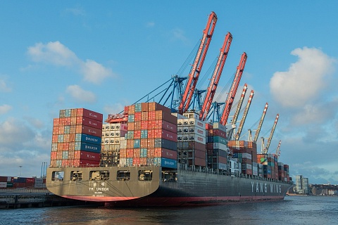 Экспорт продукции АПК с Дальнего Востока вырос почти на 30%