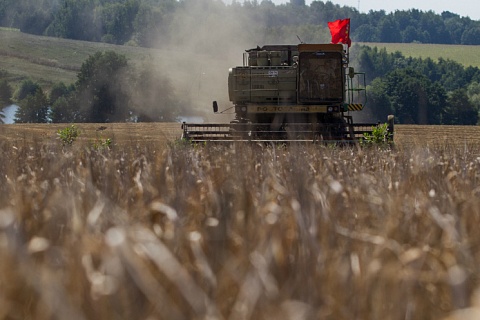 В России началась уборочная кампания