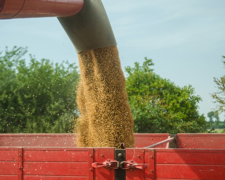 Россельхознадзор предложил аттестовывать производителей зерна на экспорт