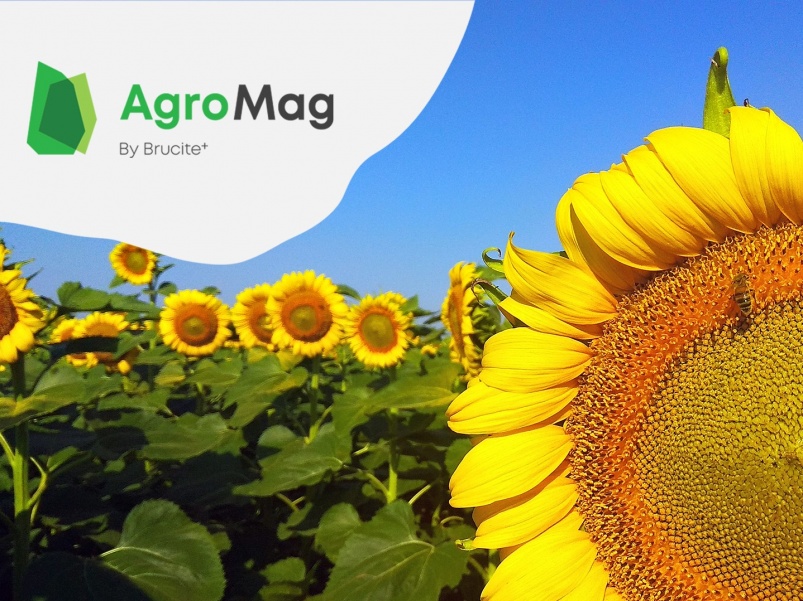 АгроМаг® - залог хорошего урожая! Эффективность, подтвержденная полевыми опытами ведущих НИИ