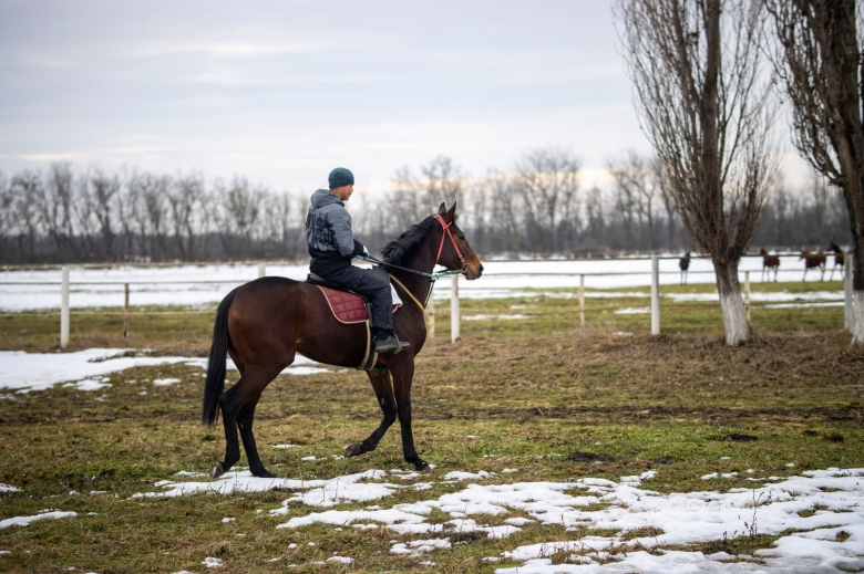 Конный завод «Восход»