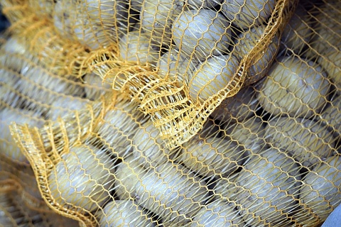 В следующем году спрос на картофель может вырасти