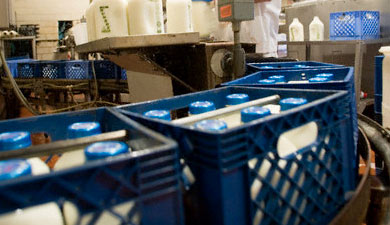 Государство закупит до 2 млн т молока