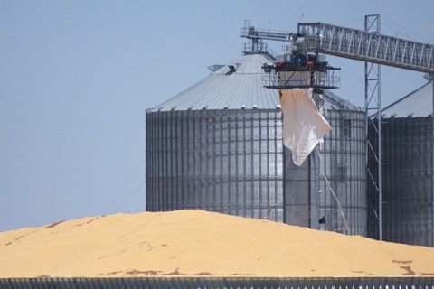 НТБ начала закупки зерна в интервенционный фонд