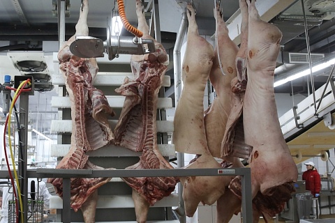 «Талина» планирует увеличить инвестиции