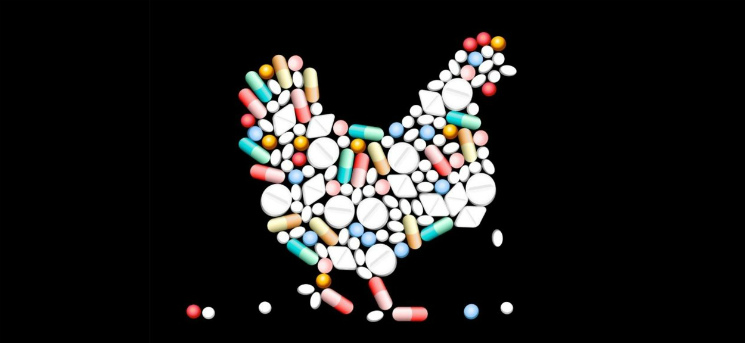 Новость партнера: CP Food отказывается от использования антибиотиков