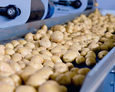 До 20% затрат на строительство картофелехранилищ могут компенсировать