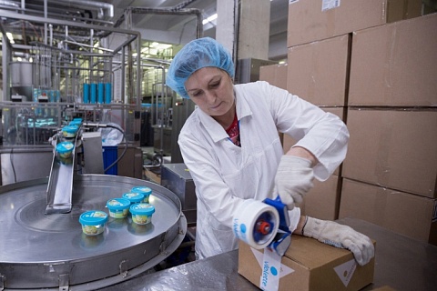 Счетная палата видит риски в росте экспорта молочной продукции