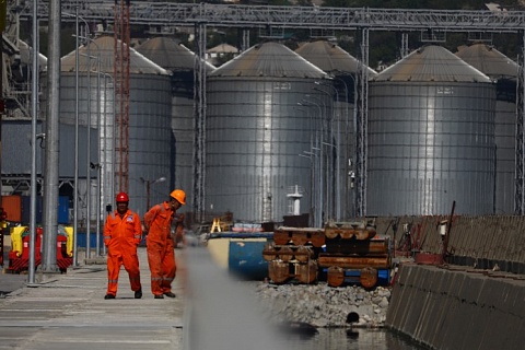 В порту Азов построят зерновой терминал стоимостью 2,6 млрд рублей