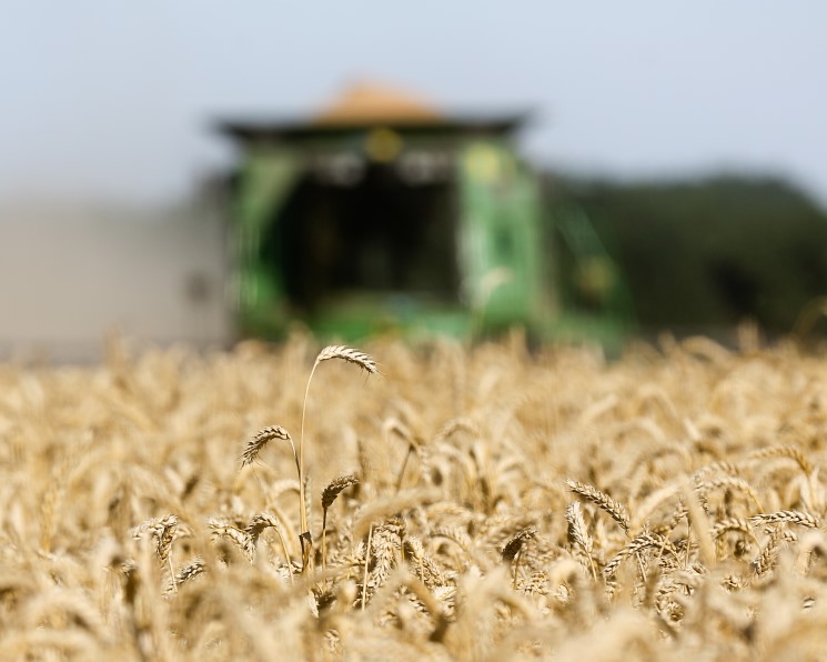 Производителям зерна выделили еще 10 млрд рублей господдержки