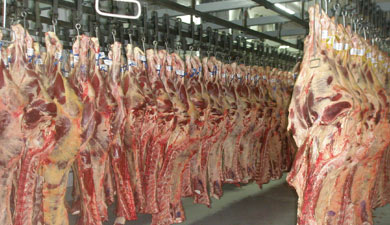 Производство говядины в 2011 г. снизилось на 12%