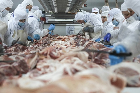 20 крупнейших компаний произвели 3 млн тонн свинины