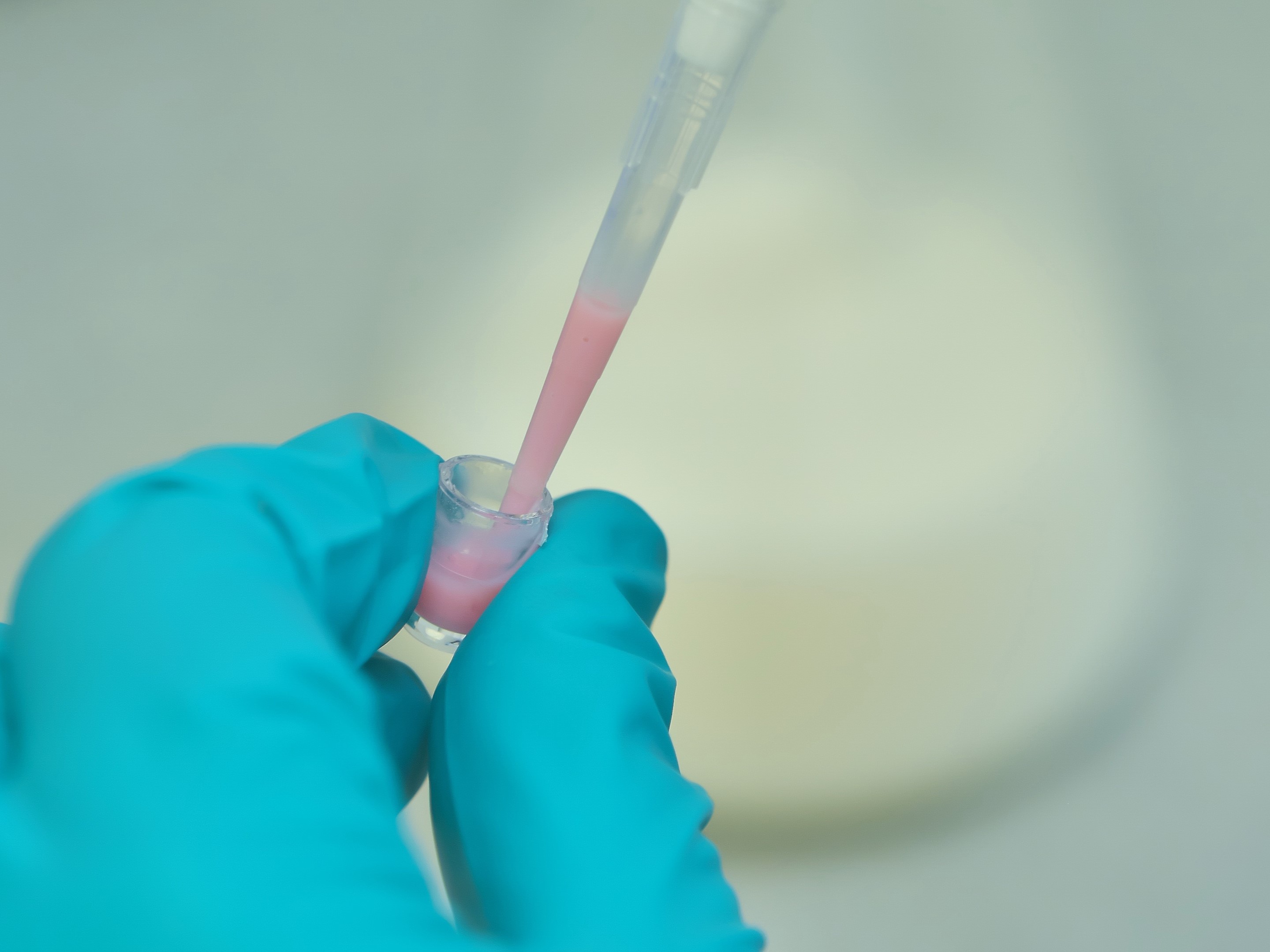 Россельхознадзор: доля российских ветпрепаратов достигла 72,6%