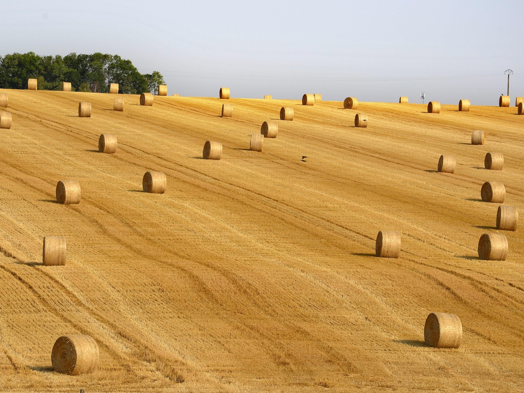 Как сложился 2025 год для АПК