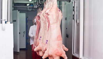 Производство мяса увеличится на 19,5% до 8,6 млн т