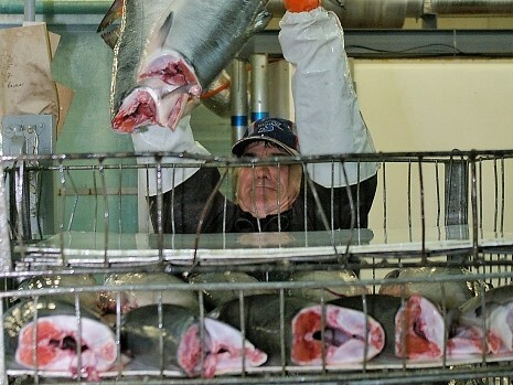 Производители рыбы просят решить вопрос со штрафами от Росрыболовства