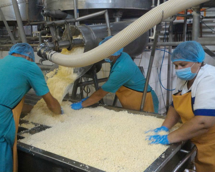 В Тамбовской области начнется строительство кластера по производству и переработке молока