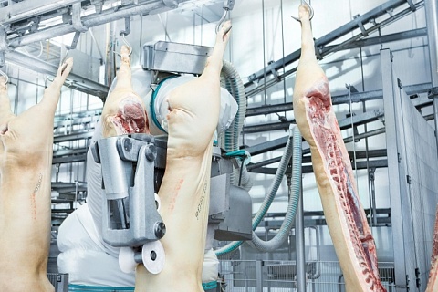 В Новосибирской области построили комбинат глубокой переработки мяса