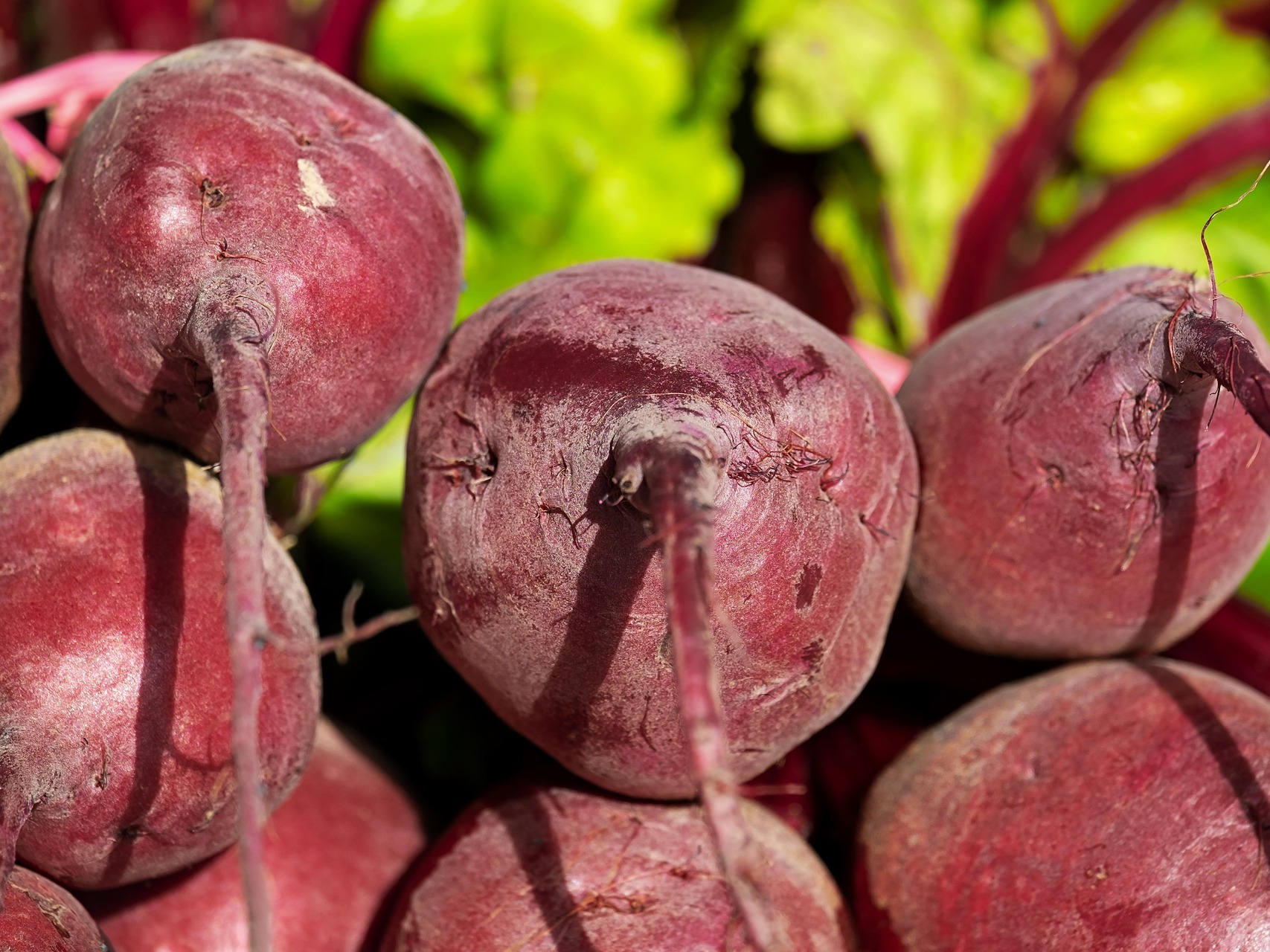 Овощи «борщевого набора» в 2025 году подешевели в торговых сетях на 28%