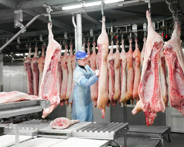 Поставки российской свинины в Китай могут начаться в январе