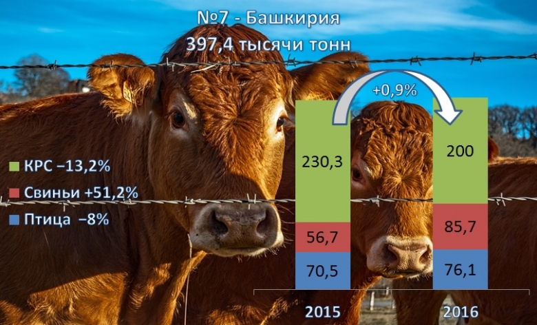 №7 — Башкирия