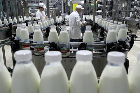 Число маркированных молочных продуктов достигло 4,7 млн штук