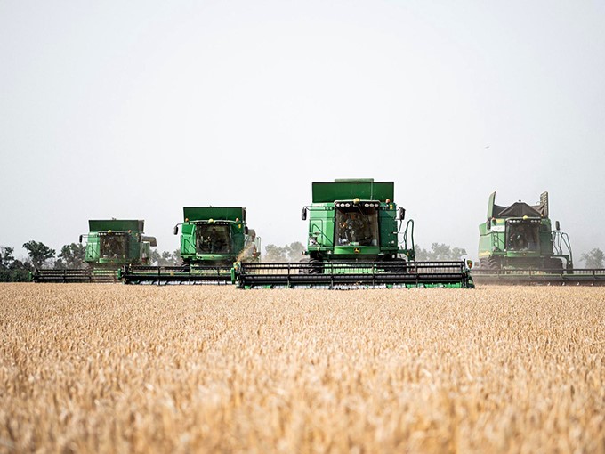 Урожай рекордов. Растениеводы вышли на новые рубежи по сборам на фоне экономической неопределенности