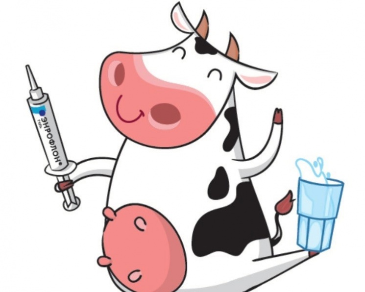Партнерский материал. «Энрофлон® гель» - уверенный выбор эффективного лечения маститов у коров
