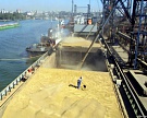 За девять месяцев сезона-2015/16 Россия экспортировала около 28,8 млн тонн зерна