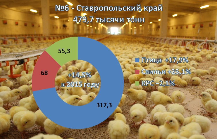 №6 — Ставропольский край