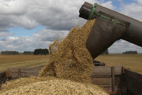 Урожай-2020: держать или продавать?