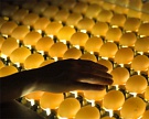 Производство инкубационного яйца в 2015 году составит 2,9 млрд шт.