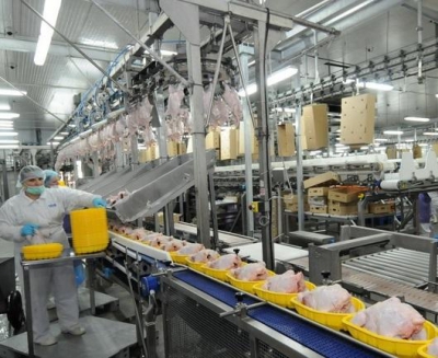 Производство мяса птицы в 2014 году достигнет 3,9 млн тонн