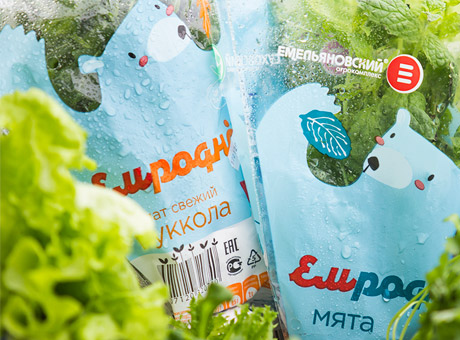ГК «Горкунов» может купить тепличный комплекс в Новосибирской области