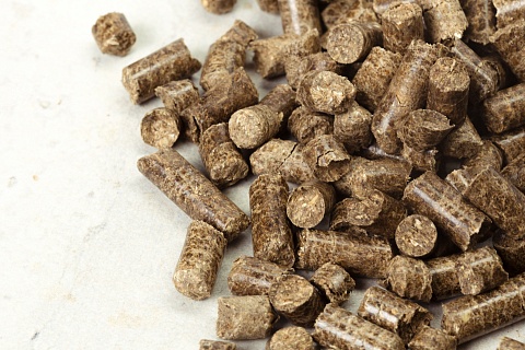 «Донбиотех» к 2029 году намерен начать выпуск треонина, триптофана и валина