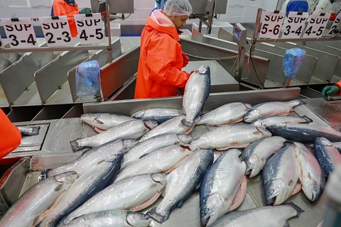 Законопроект об обязательной продаже части продукции на бирже внесен в Госдуму