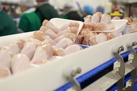 По итогам года экспорт мяса птицы может выйти на прошлогодний уровень