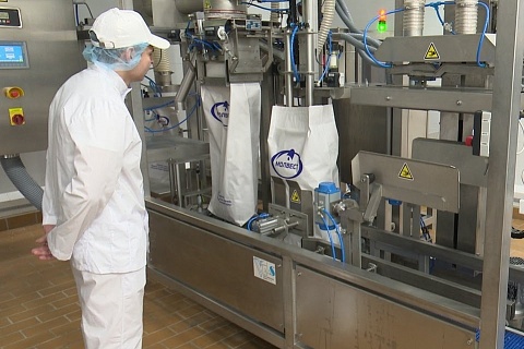 «Молвест» открыл производство концентрата молочного белка