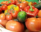 Россия предложит Турции нарастить поставки овощей и фруктов