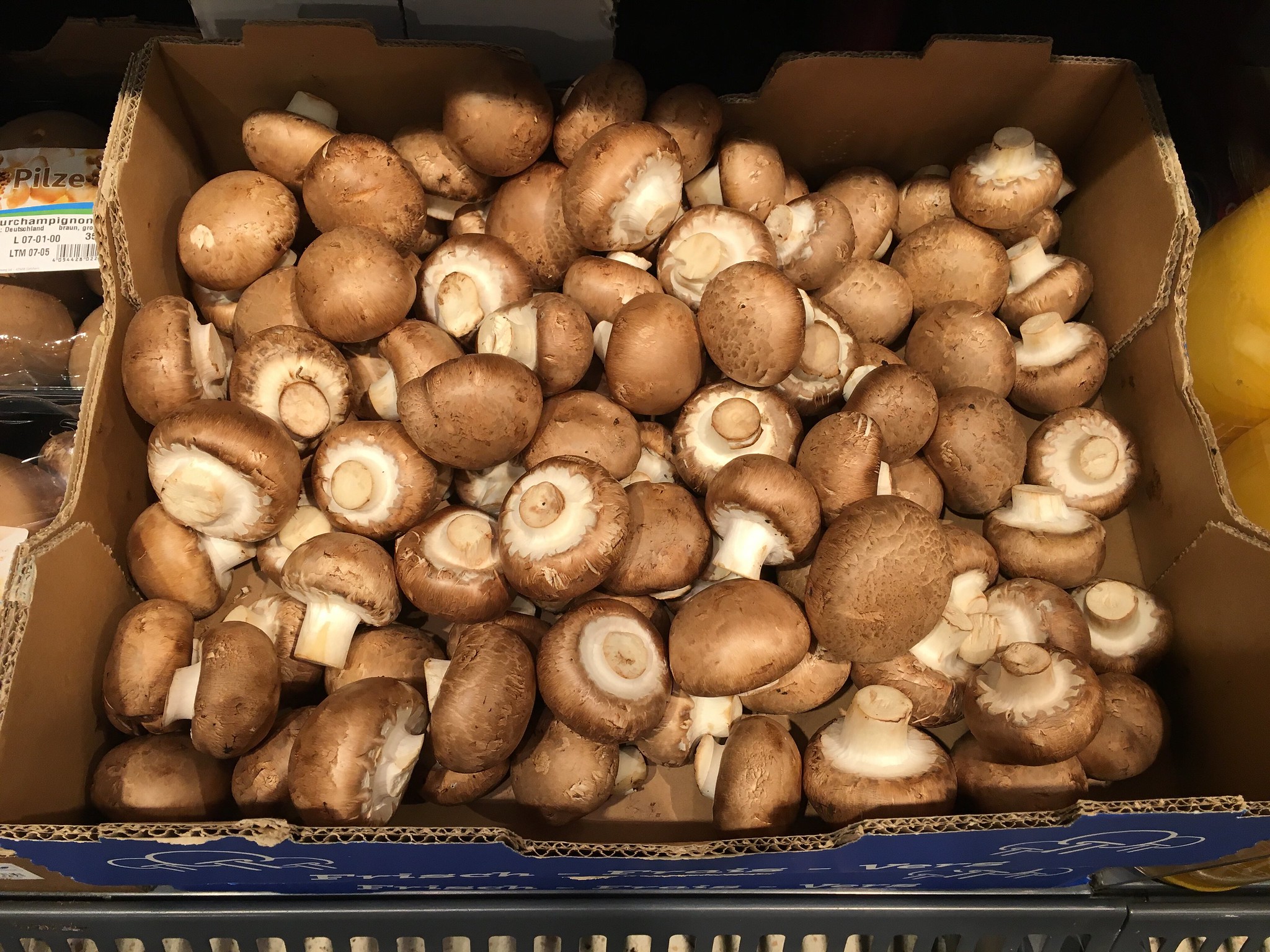 IGS Agro увеличила урожайность грибов на 25%