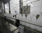 TH True Milk намерена производить в Приморье 300 тысяч тонн молока в год