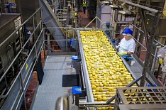 PepsiCo построит завод снеков за 12 млрд рублей