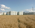 Доля используемых сельхозземель в Подмосковье выросла до 74%