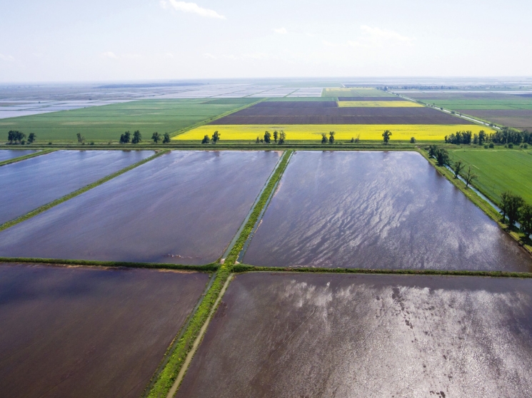 «АПК Ресурс» зальет поля под рис. Компания планирует засеять этой культурой 27 тыс. га в Астраханской области