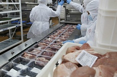 В 2017 году промышленное производство мяса выросло на 7%