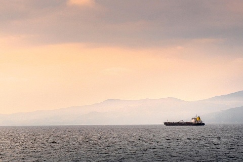 Ормузский кризис дает шанс для российского агроэкспорта