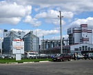 «Мираторг» прорабатывает свиноводческий проект за 115 млрд рублей