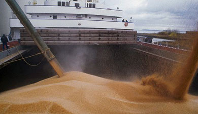 Собрано 102,7 млн т зерновых